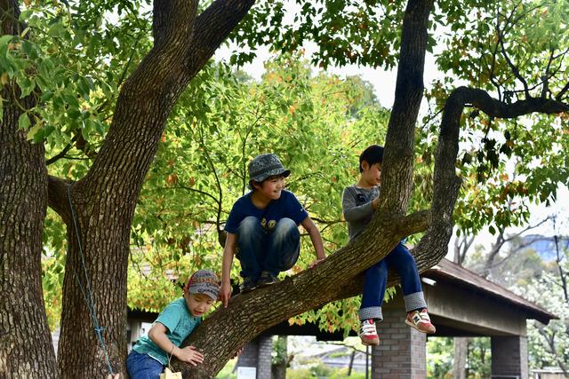 画像: 平和島公園キャンプ場にて:筆者夫撮影