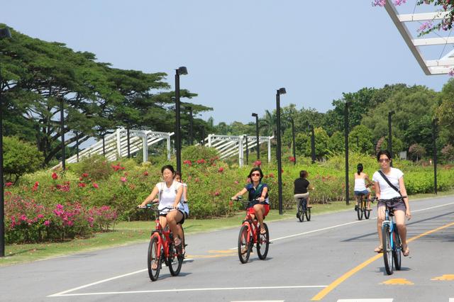 画像3: 引用元:www.nparks.gov.sg
