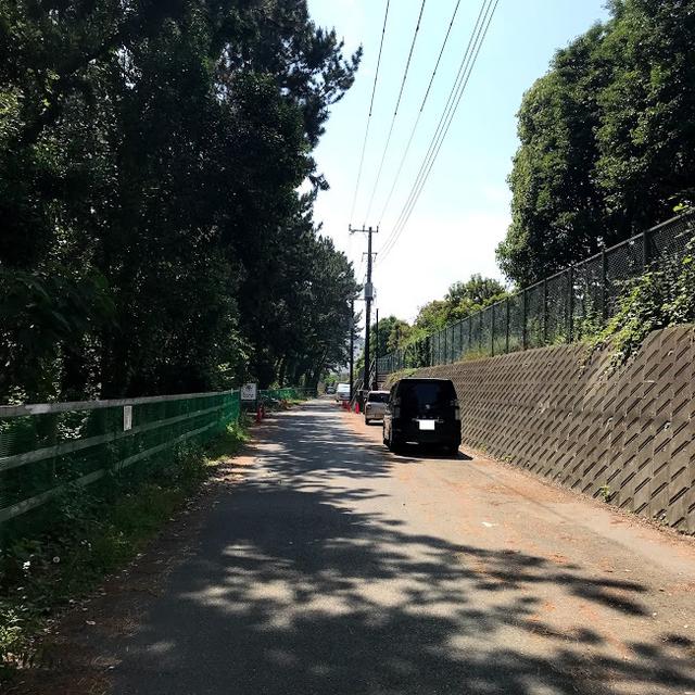 画像: 右の壁面に沿って駐車スペースがあります:著者撮影