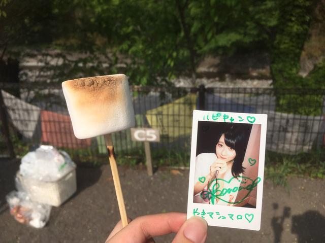 画像: 筆者撮影 「こう! 何事も加減が大事だよねぇ...」