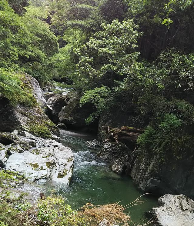 画像2: 筆者撮影