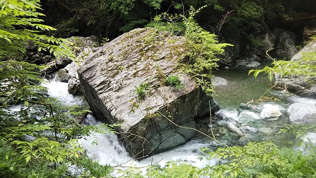 画像: 筆者撮影 ※静岡・白倉川