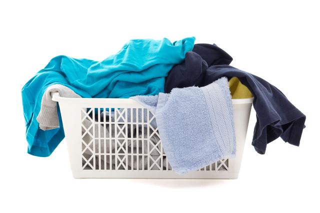 画像: マダニが衣服に付着していて、気づかずに家の中に持ち込んでしまう可能性も!