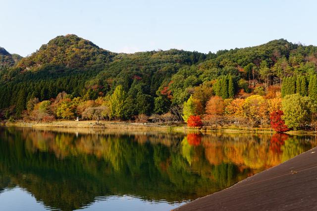 画像: 宇都宮市森林公園×道の駅うつのみやろまんちっく村(宇都宮)
