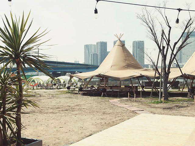 画像: wildmagic.jp