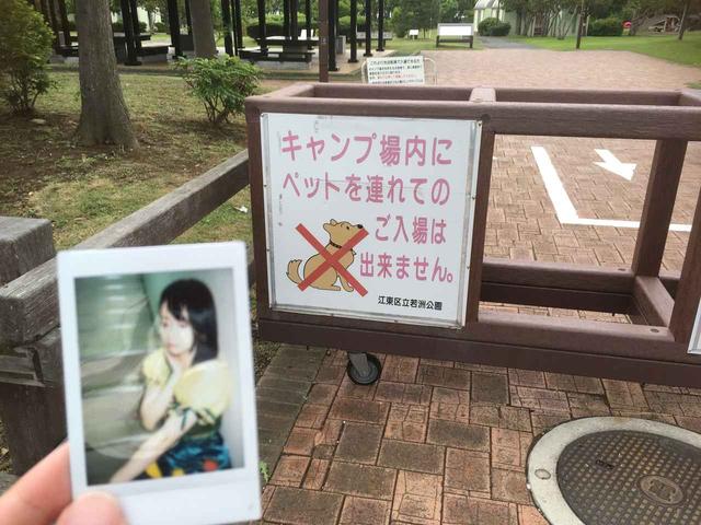画像: 筆者撮影 ◎チャキを連れての入場は出来ます