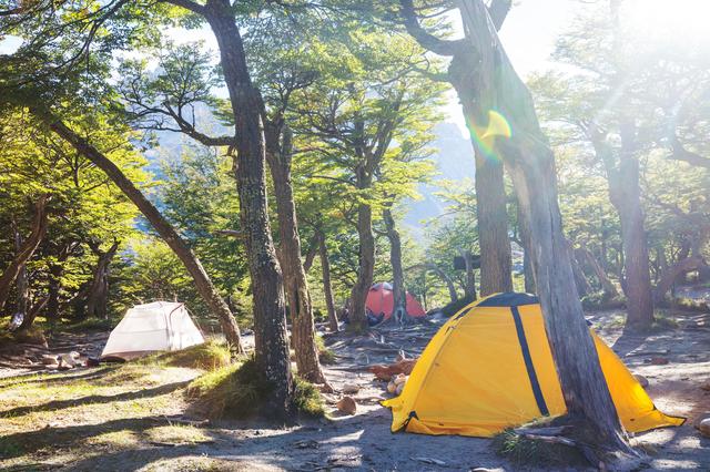 画像: 観光で京都に行くならキャンプもプラス 一気に多くの体験をすれば子どもの経験や教育にもGOOD!