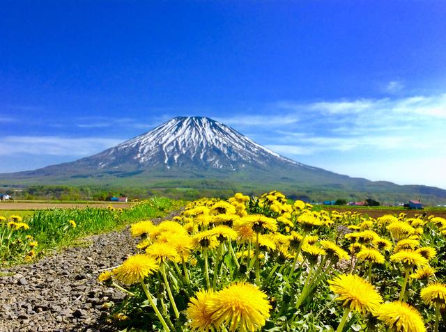 画像: 北海道トレイルランニングinルスツ