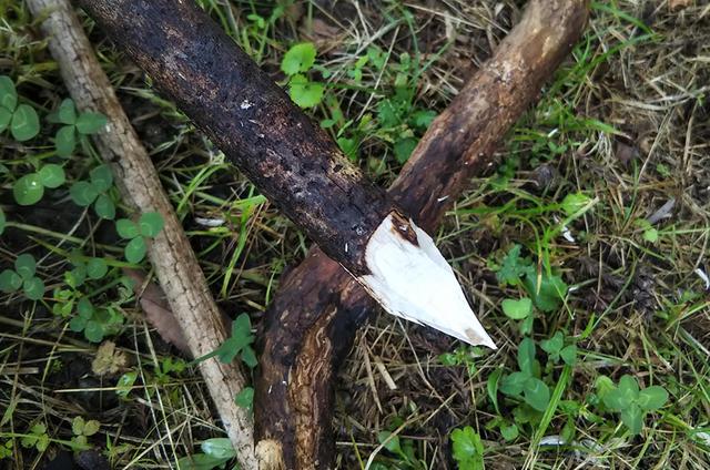 画像: 筆者撮影 ※地面に打ち込む部分