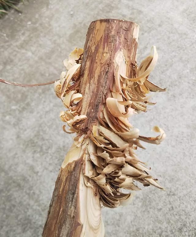 画像4: 筆者撮影
