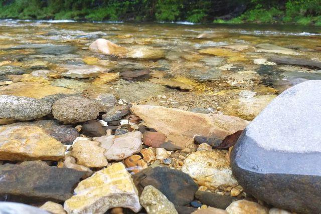 画像: 編集部撮影・水がとっっっても綺麗