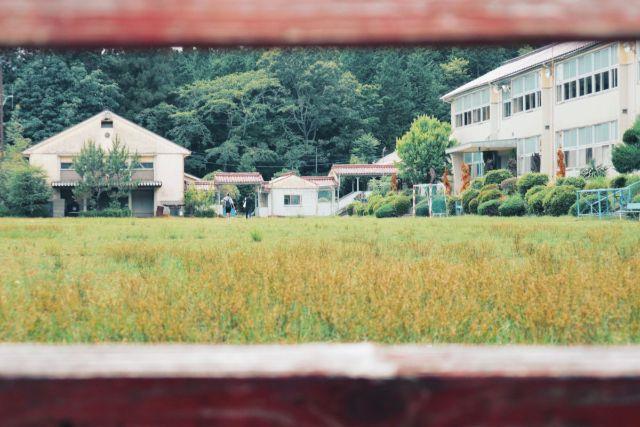 画像: 編集部撮影・木々に囲まれた学校