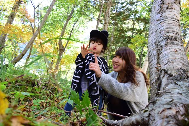 画像: 【ポイント2】触ってもいい草花、見て楽しむ草花のルールは、しっかり伝えよう!