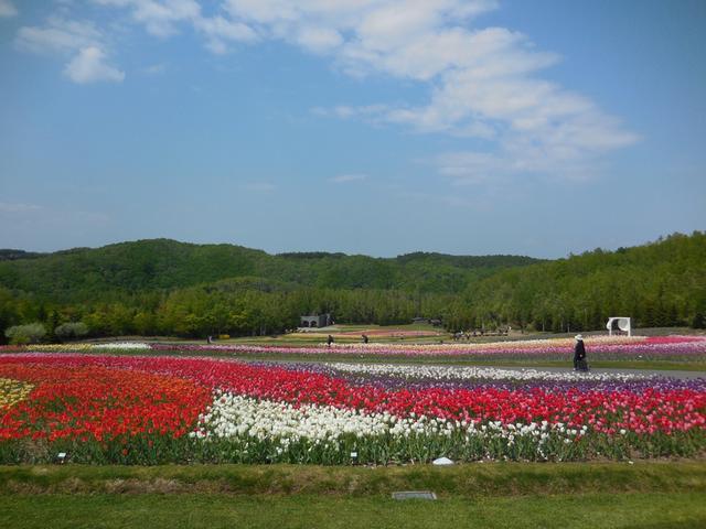 画像: 滝野すずらん丘陵公園イメージ
