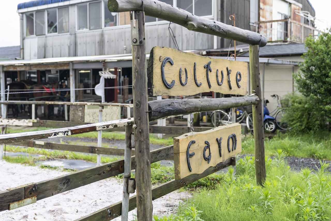 画像3: Photographer 吉田 達史