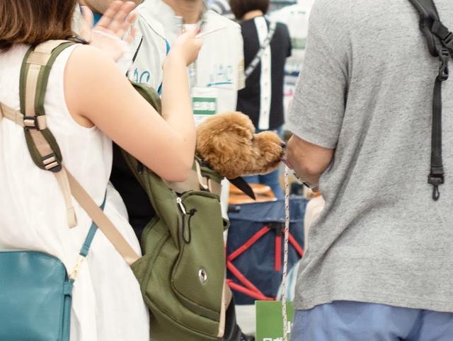 画像: 【カートラジャパン2018】キャンプ場やグルメコーナー 愛犬家で賑わったカートライベント