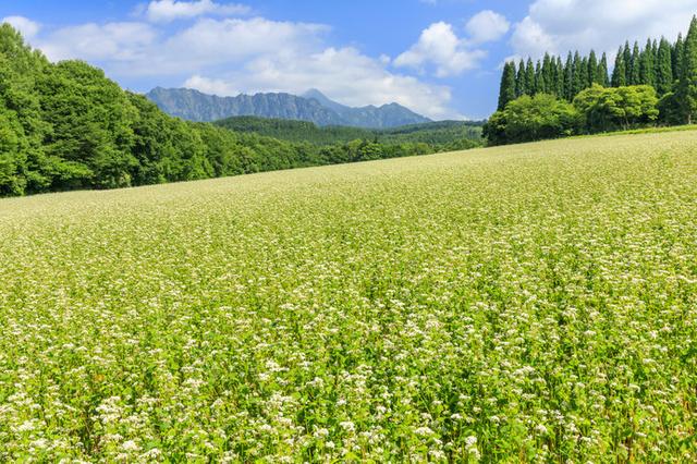 画像3: ※写真はイメージです