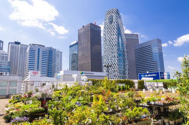 画像: 屋上庭園から見る新宿副都心のビル群