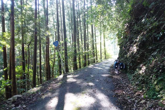 画像: 筆者撮影・道幅は狭く曲がりくねり、路面も荒れ気味の「ヨサク酷道」