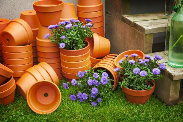 画像: 使わなくなったプランターはDIYで生まれ変わる! 工具不要で簡単に作れる多肉植物タワープランター