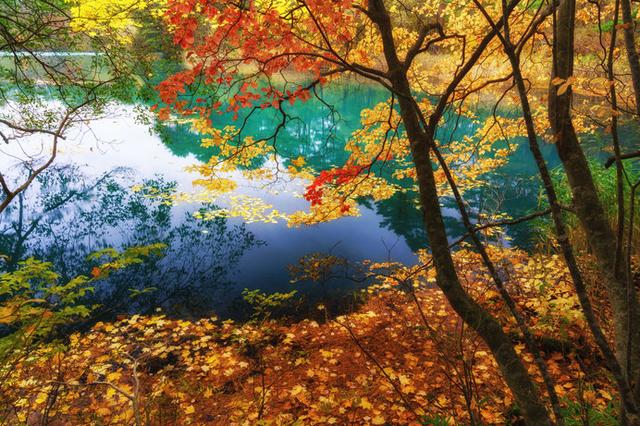 画像: 五色沼(福島)/青沼、赤沼、るり沼…。裏磐梯の神秘の湖沼群
