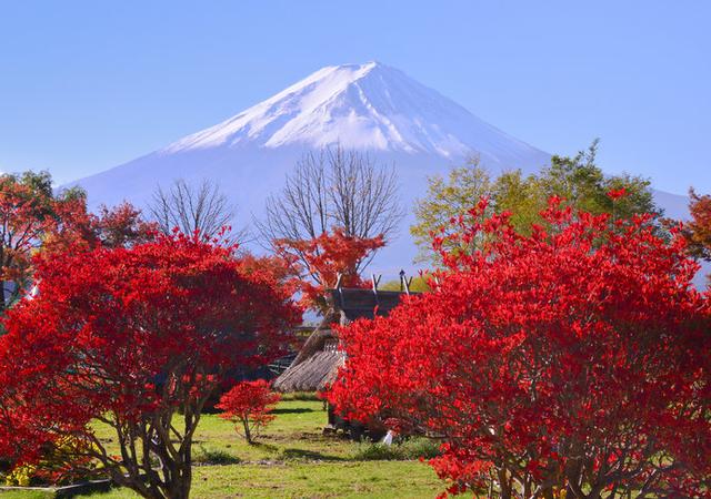 画像4: ※画像はイメージです