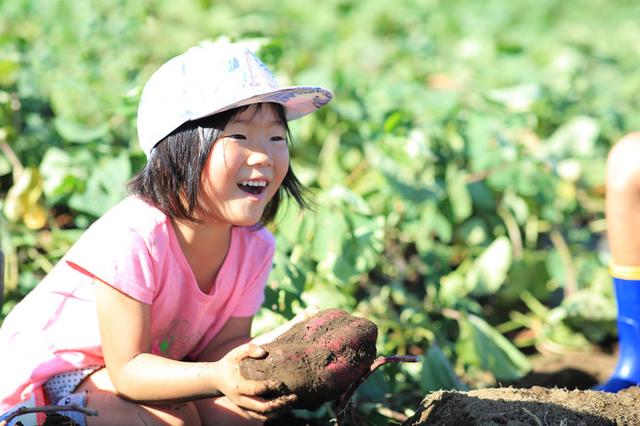 画像: 芋ほりなど各種イベントは予約してからおでかけくださいね! ※画像はイメージ