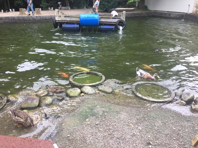 画像7: 筆者撮影 hamada-ayano.com