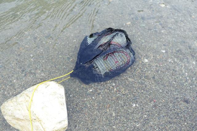 画像: 筆者撮影・クーラーボックスが持ち歩けない自転車ではこれが必須の作業です。