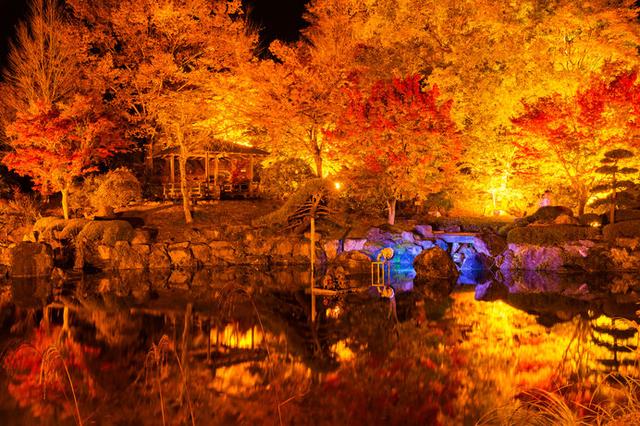 画像: 桜山公園(群馬県)※画像はイメージです