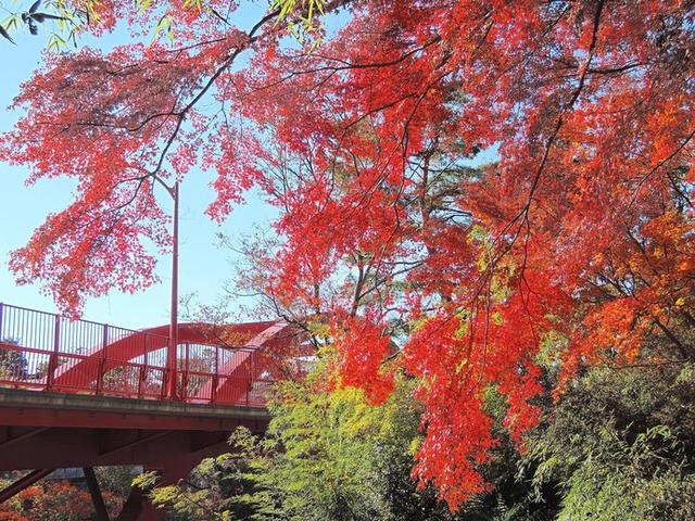 画像3: ※画像はイメージです