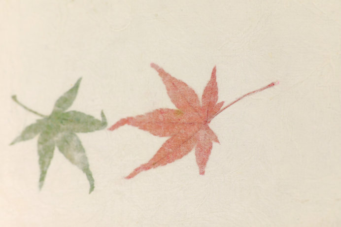 画像: 国の伝統工芸品にいちはやく指定された因州和紙 ※画像はイメージ