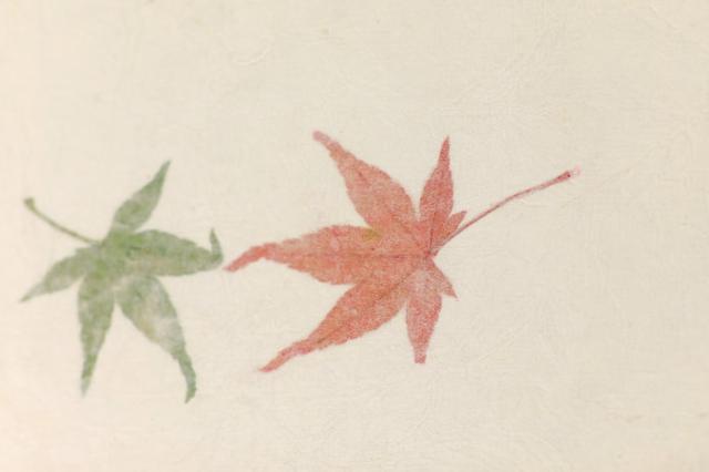 画像: 国の伝統工芸品にいちはやく指定された因州和紙 ※画像はイメージ