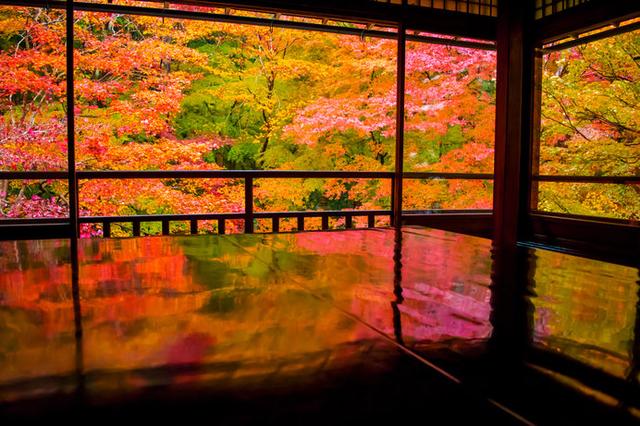 画像: 黒塗り机の天板に「瑠璃の庭」の絢爛たる紅葉が映るリフレクション風景が人気