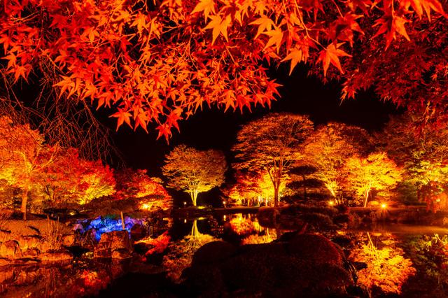 画像1: ※画像はイメージです