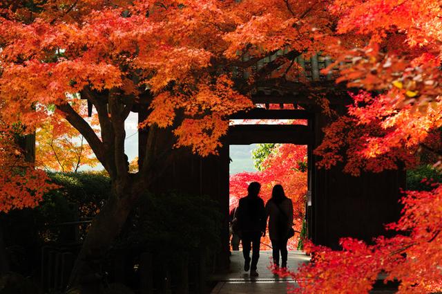 画像: 春はツツジ、秋は紅葉の名所として知られる佐賀の「大興善寺」