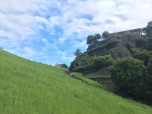 画像: 中腹ぐらいまで登ってダムを見上げたところ。奥の方の白い点が子ども達。 大人はゆるい坂道をひたすら登り、子ども達は途中から急勾配の階段を登って行った・筆者撮影