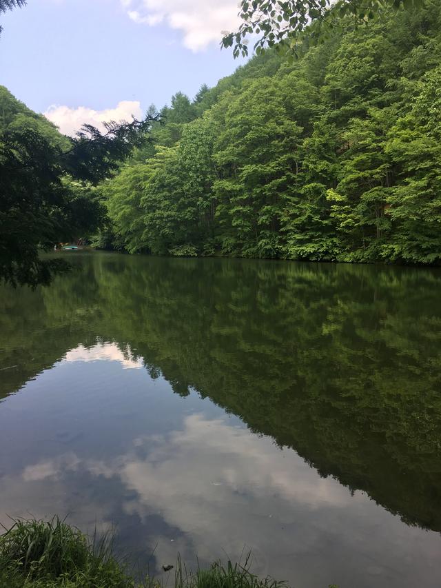 画像1: 筆者撮影