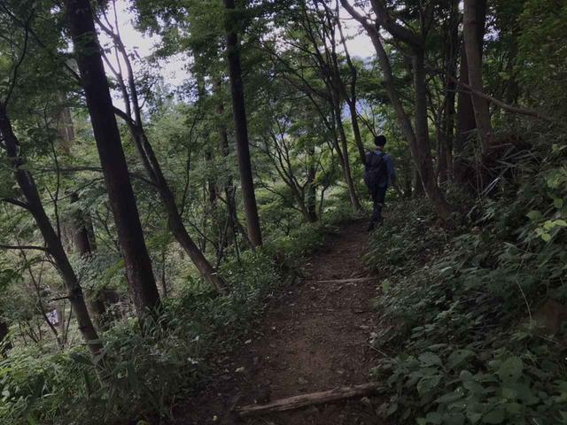 画像: 筆者撮影:彷徨うオーウラ夫