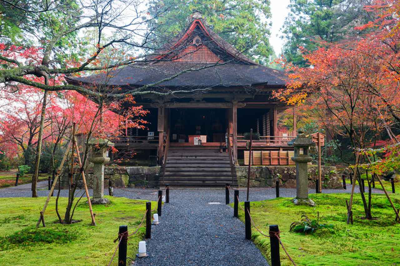 画像: 京都大原「三千院」。紅葉時期の「往生極楽院」