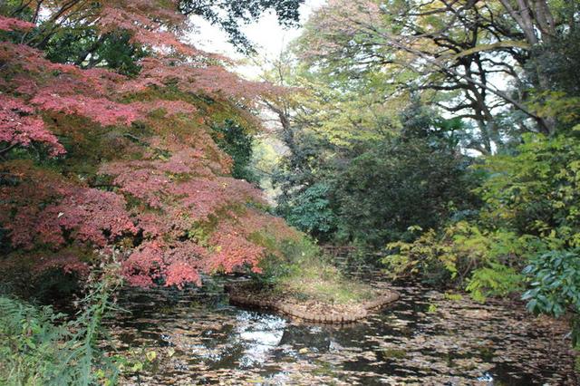 画像3: ※画像はイメージです