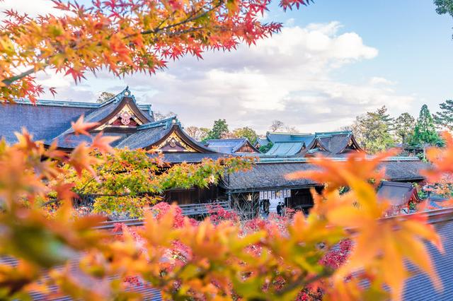 画像: マジックタイムの「北野天満宮」の紅葉