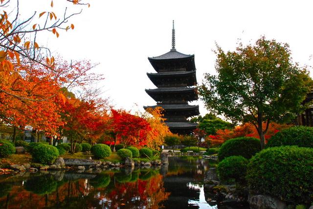 画像: 紅色のモミジが美しい京都の紅葉