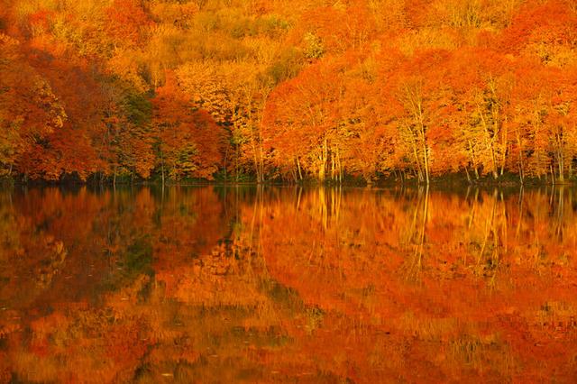 画像: 日が昇りゆく一瞬、静寂の湖面が紅葉に染まる様をおさえた「奇跡の一枚」