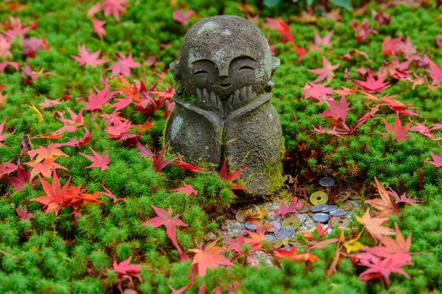 画像: 紅く色づいた紅葉と十牛之庭のお地蔵様も「圓光寺」の紅葉スポットです