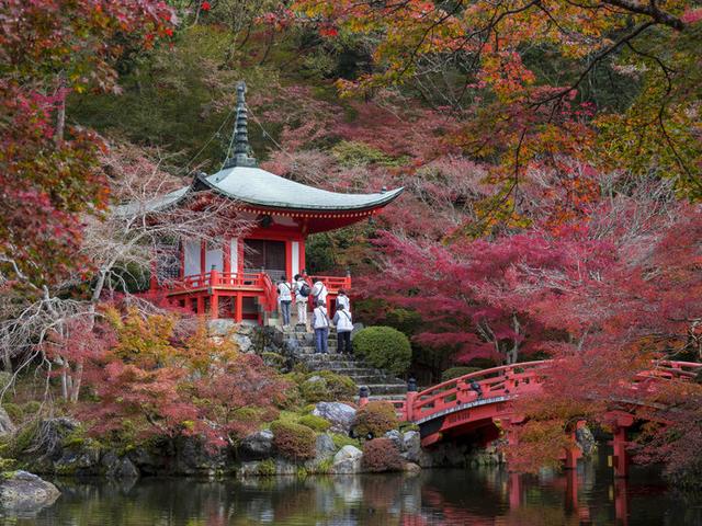 画像: 一幅の絵画のように美しい、秋の「醍醐寺」