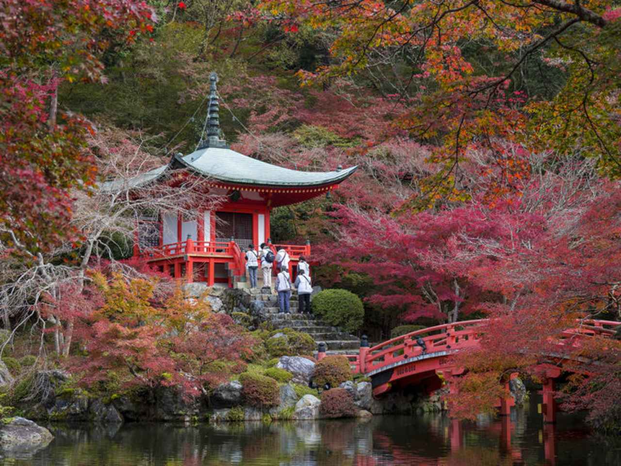 画像: 一幅の絵画のように美しい、秋の「醍醐寺」