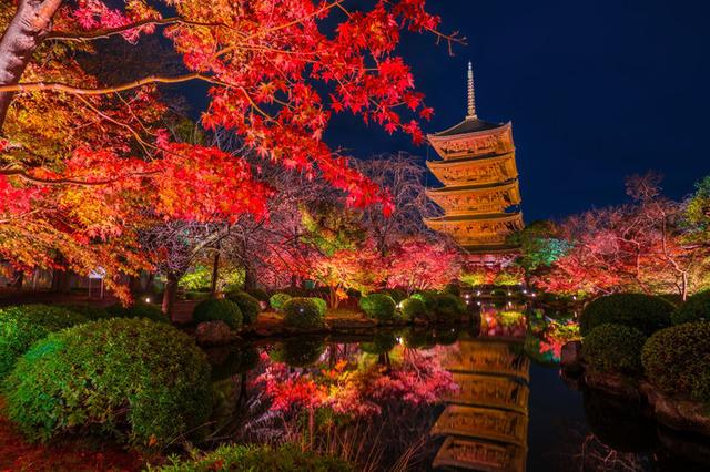 画像: 秋の「真言宗総本山東寺(教王護国寺)」から池越しに望む五重塔