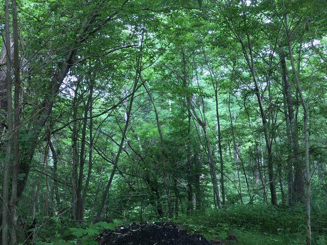 画像2: 編集部撮影