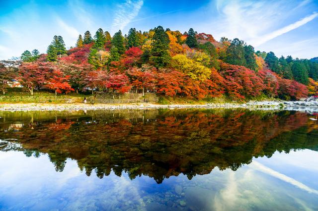 画像: いよいよ紅葉の時季が到来! ※画像は香嵐渓の紅葉